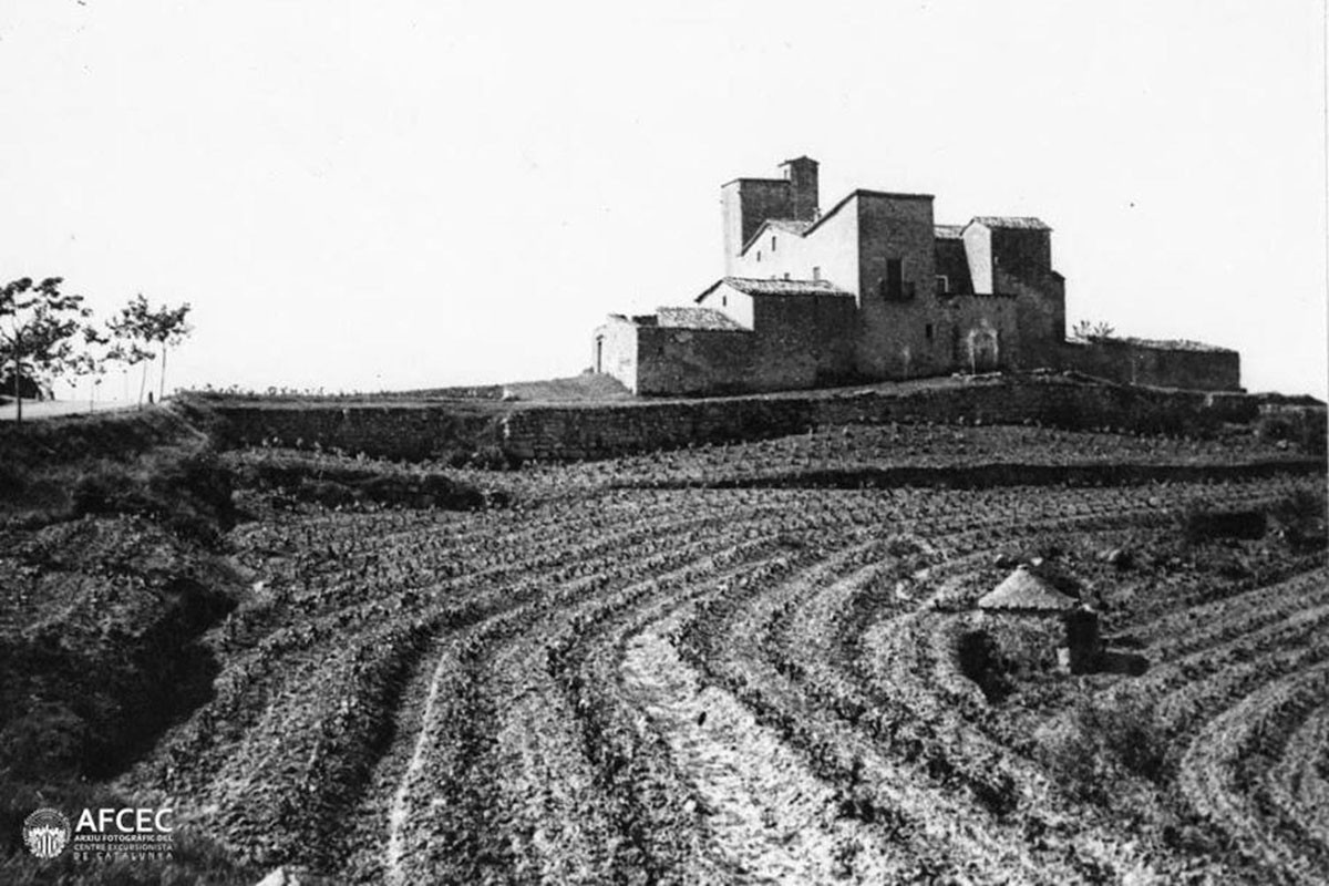 Comença un projecte de recuperació de la memòria de la vinya i el vi al Bages